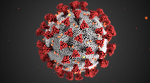 School CLOSURE due to Coronavirus